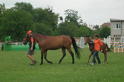 Kroměříž